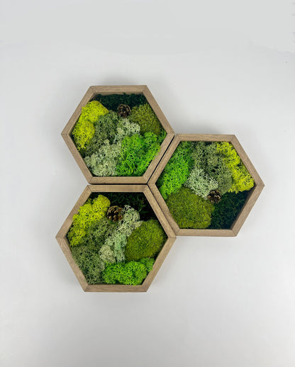 Many Shades of Green - Mini Acorn - Hexagon