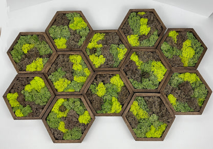 Shades of Green and Brown - Hexagon - Walnut