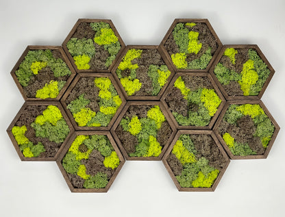 Shades of Green and Brown - Hexagon - Walnut