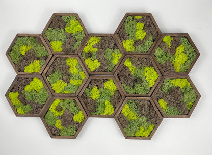 Shades of Green and Brown - Hexagon - Walnut