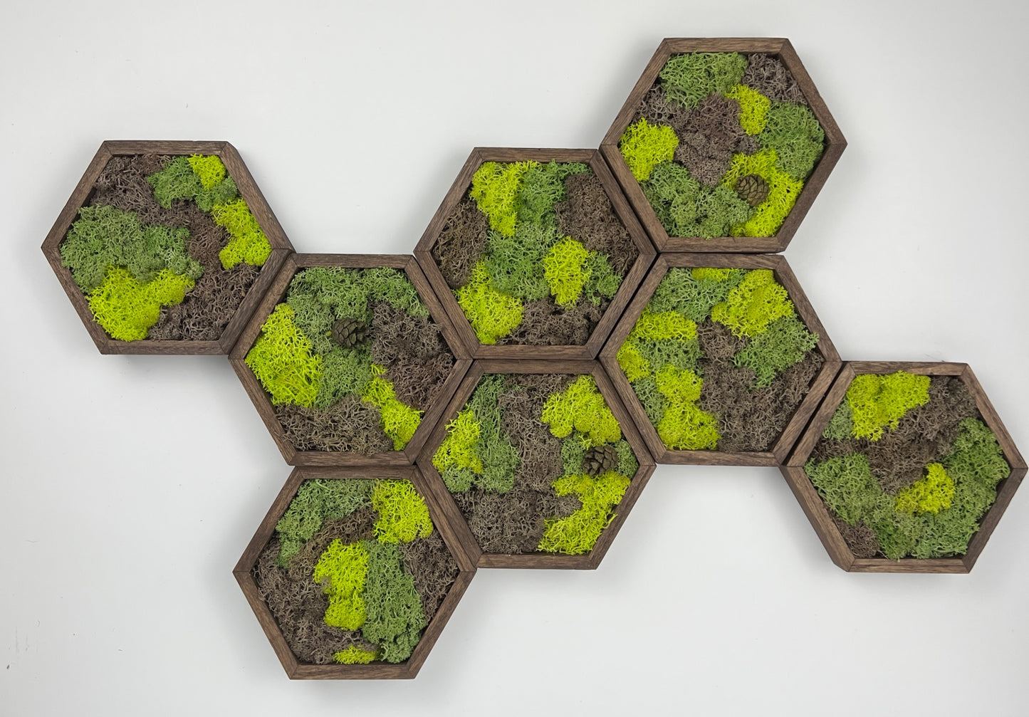 Shades of Green and Brown - Hexagon - Walnut