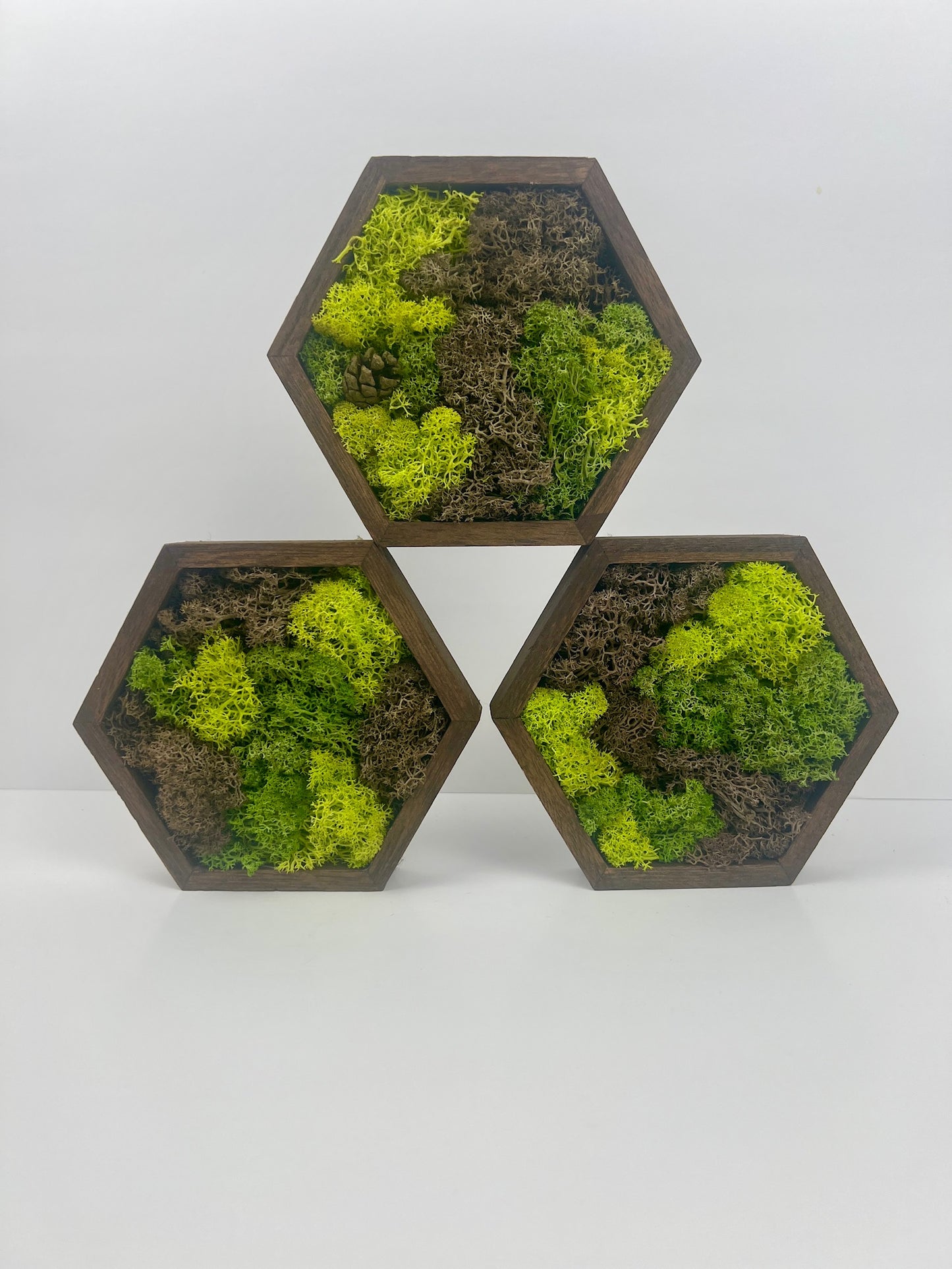 Shades of Green and Brown - Hexagon - Walnut