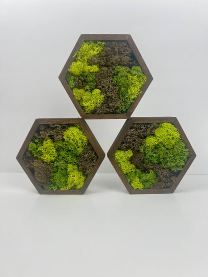 Shades of Green and Brown - Hexagon - Walnut