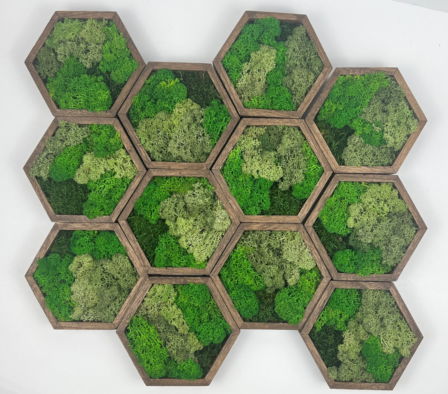 Bright  Shades of Green - 5" by 6" - Hexagon