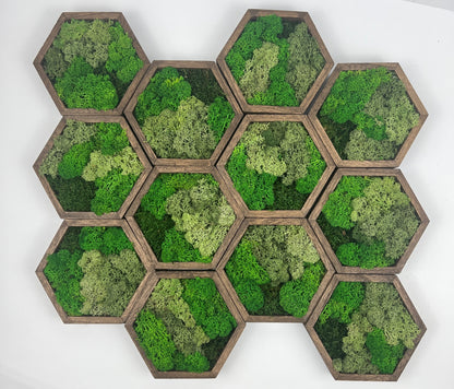 Bright  Shades of Green - 5" by 6" - Hexagon