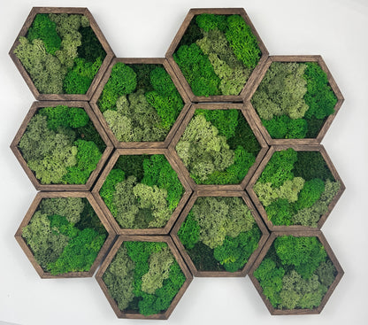 Bright  Shades of Green - 5" by 6" - Hexagon