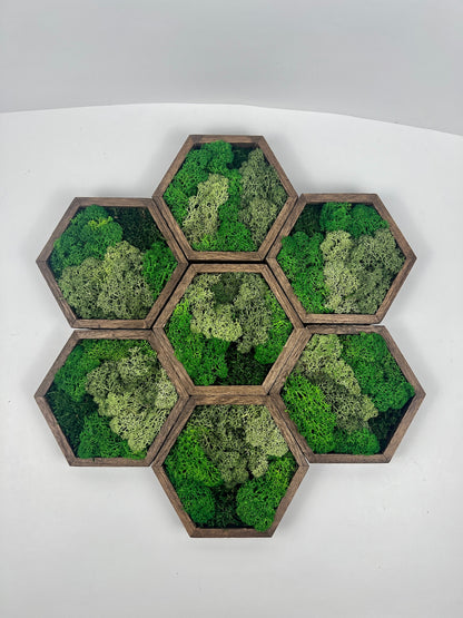 Bright  Shades of Green - 5" by 6" - Hexagon