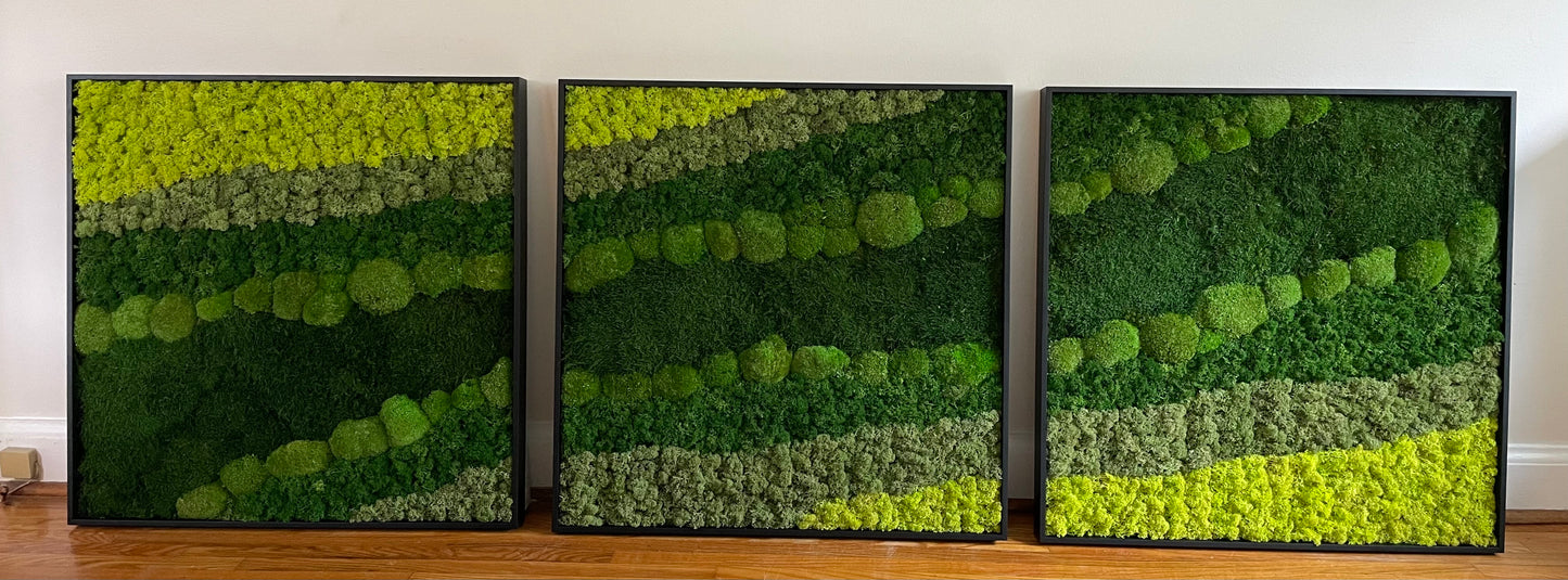 Moss Wall Art - Large Moss Wall Decor - Set of Three - Continuous Hillside