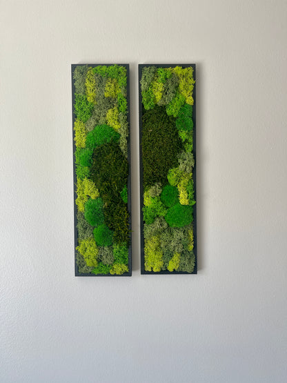 Long Rectangle Preserved Moss Decor - 18" by 5" - Pole & Reindeer Moss