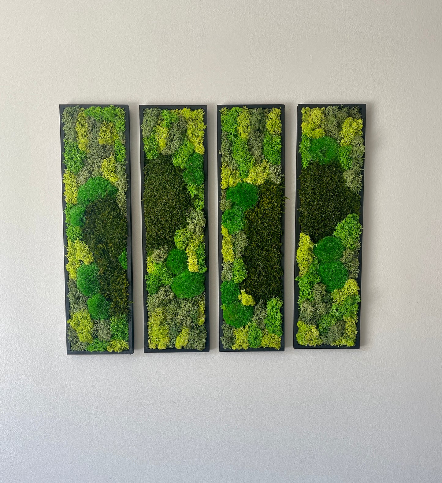 Long Rectangle Preserved Moss Decor - 18" by 5" - Pole & Reindeer Moss