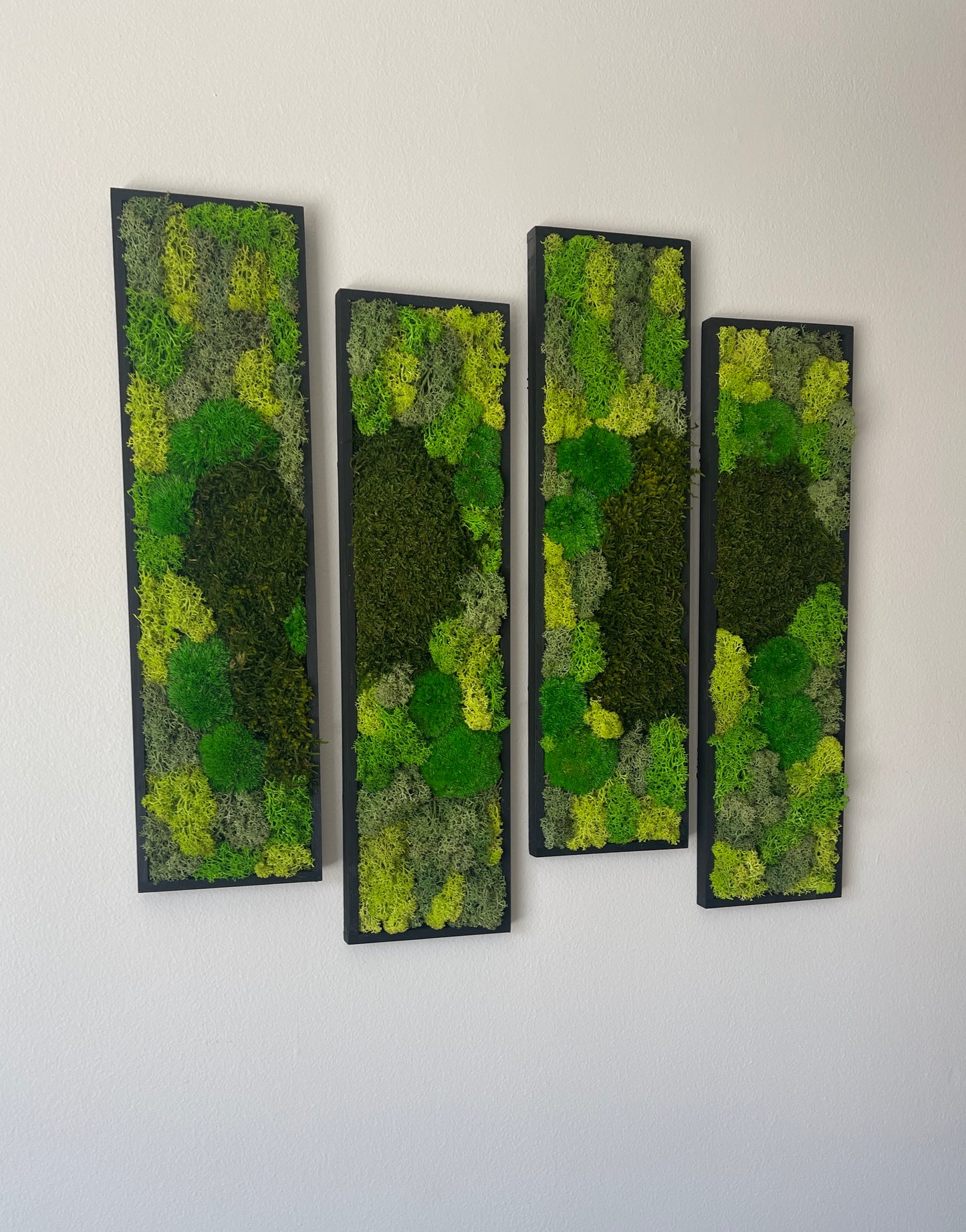 Long Rectangle Preserved Moss Decor - 18" by 5" - Pole & Reindeer Moss