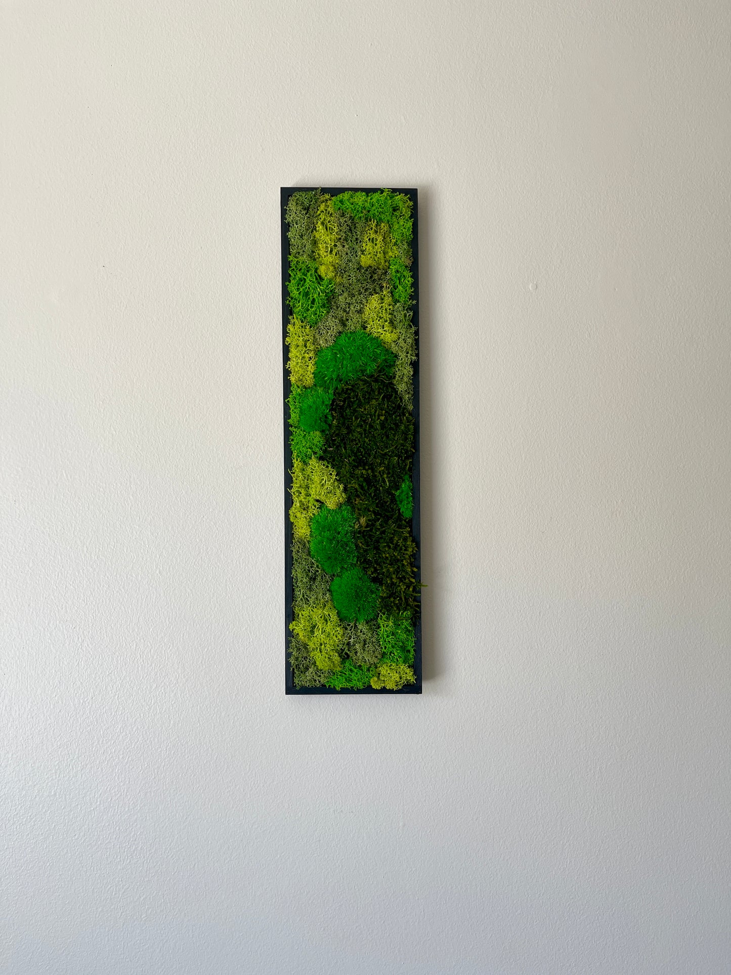 Long Rectangle Preserved Moss Decor - 18" by 5" - Pole & Reindeer Moss