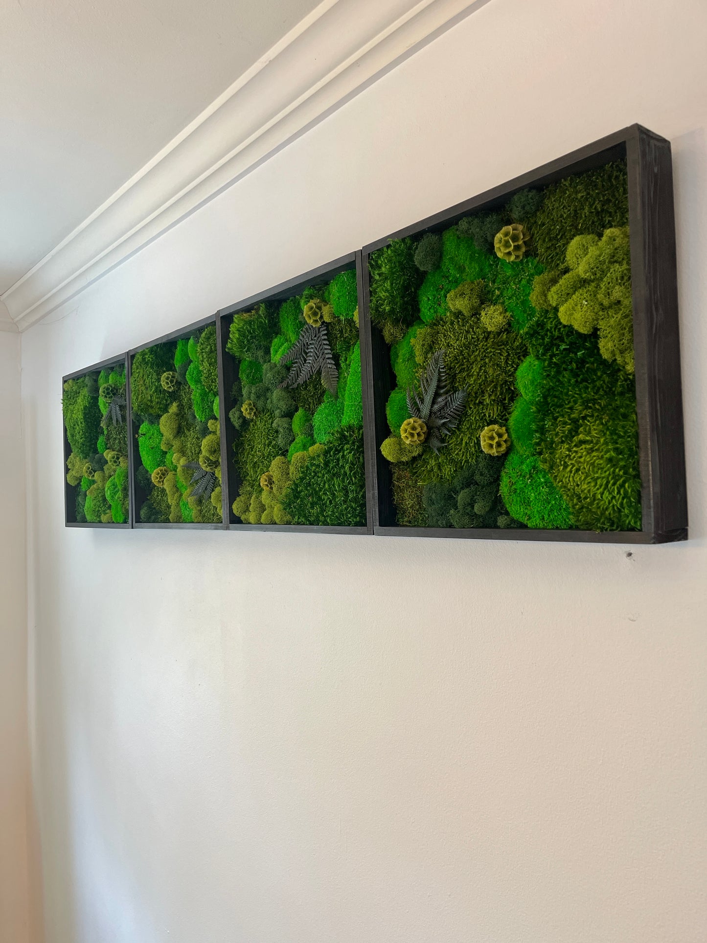 Moss Wall Art - Wood Square Frame - Green Dreams