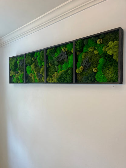 Moss Wall Art - Wood Square Frame - Green Dreams