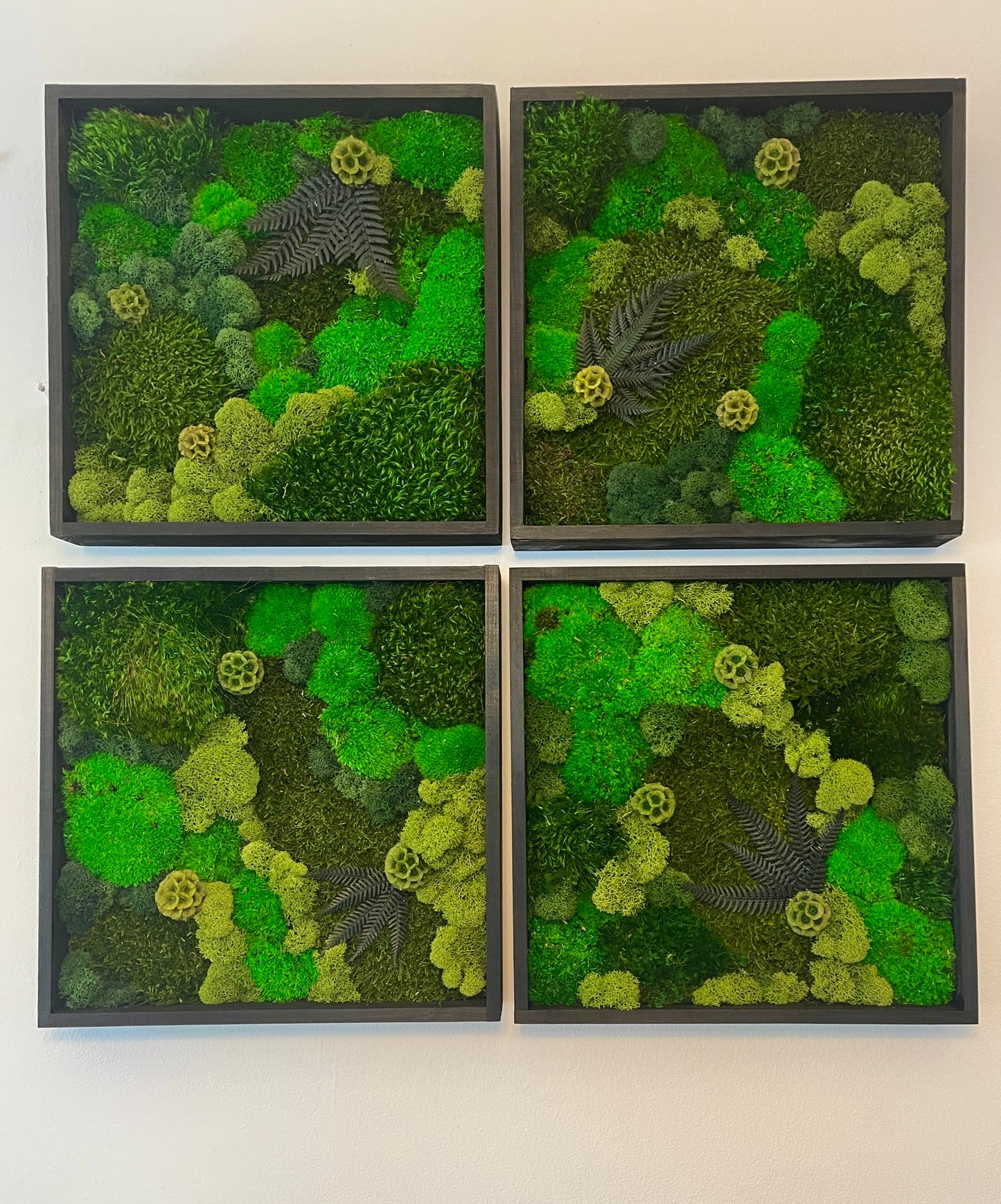 Moss Wall Art - Wood Square Frame - Green Dreams