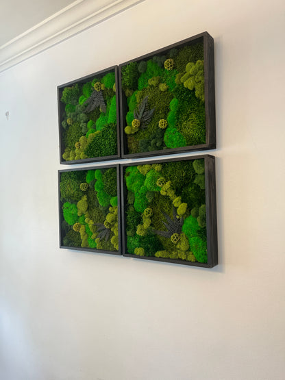 Moss Wall Art - Wood Square Frame - Green Dreams