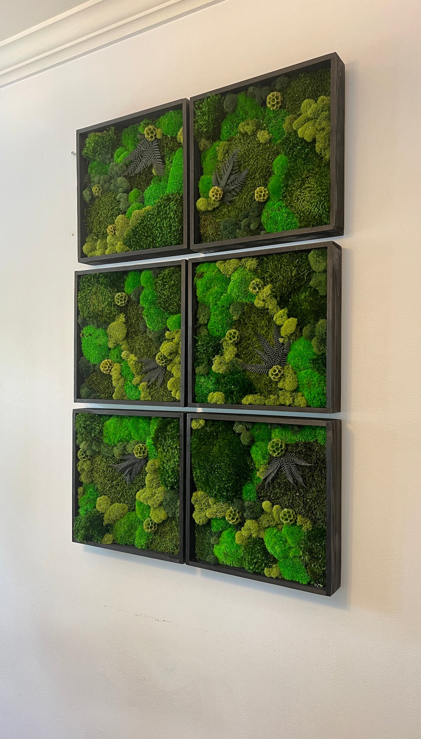 Moss Wall Art - Wood Square Frame - Green Dreams