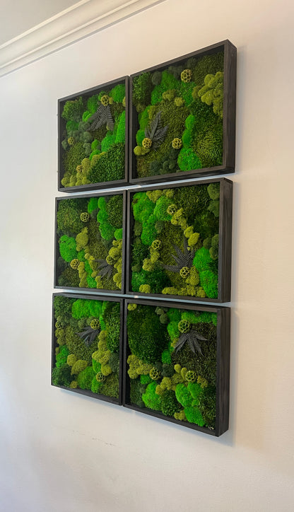 Moss Wall Art - Wood Square Frame - Green Dreams