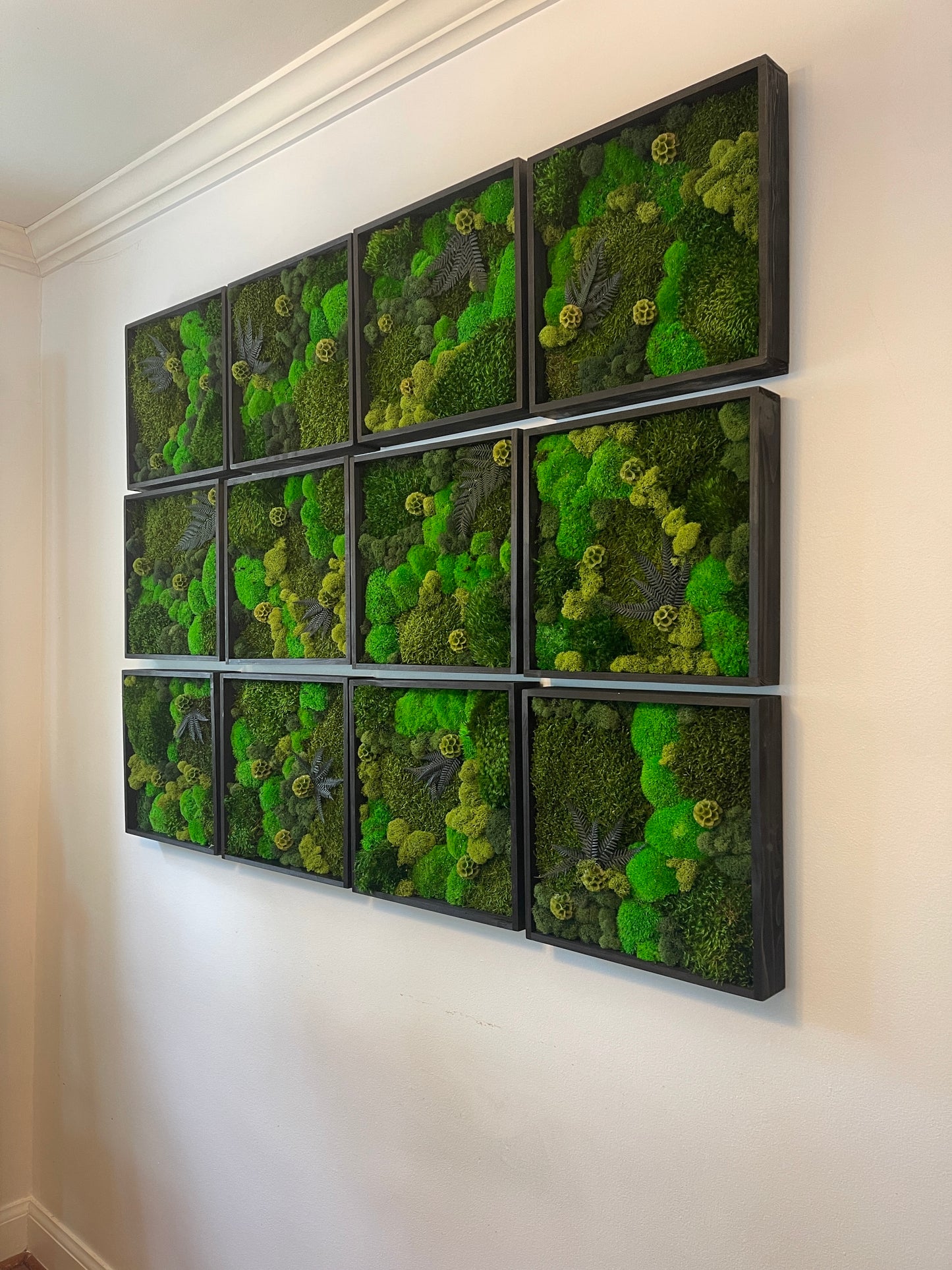 Moss Wall Art - Wood Square Frame - Green Dreams