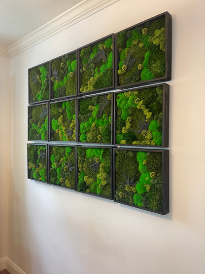 Moss Wall Art - Wood Square Frame - Green Dreams