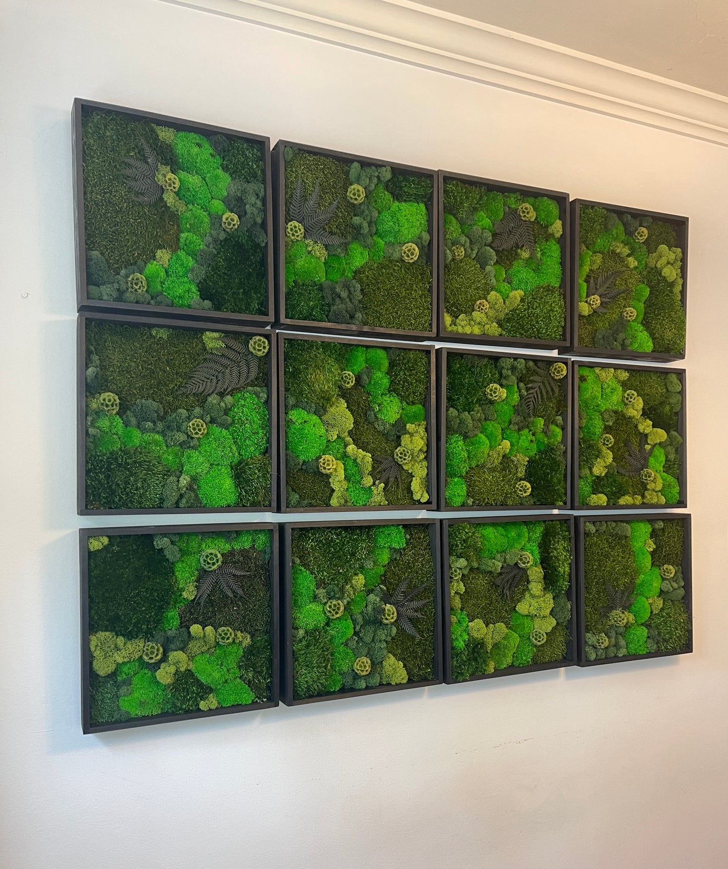 Moss Wall Art - Wood Square Frame - Green Dreams