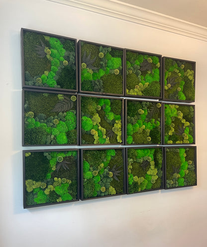 Moss Wall Art - Wood Square Frame - Green Dreams