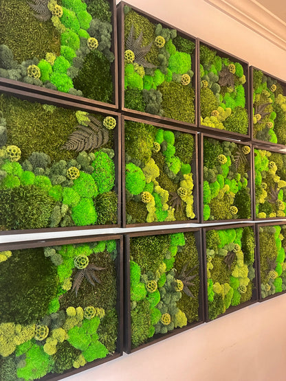 Moss Wall Art - Wood Square Frame - Green Dreams