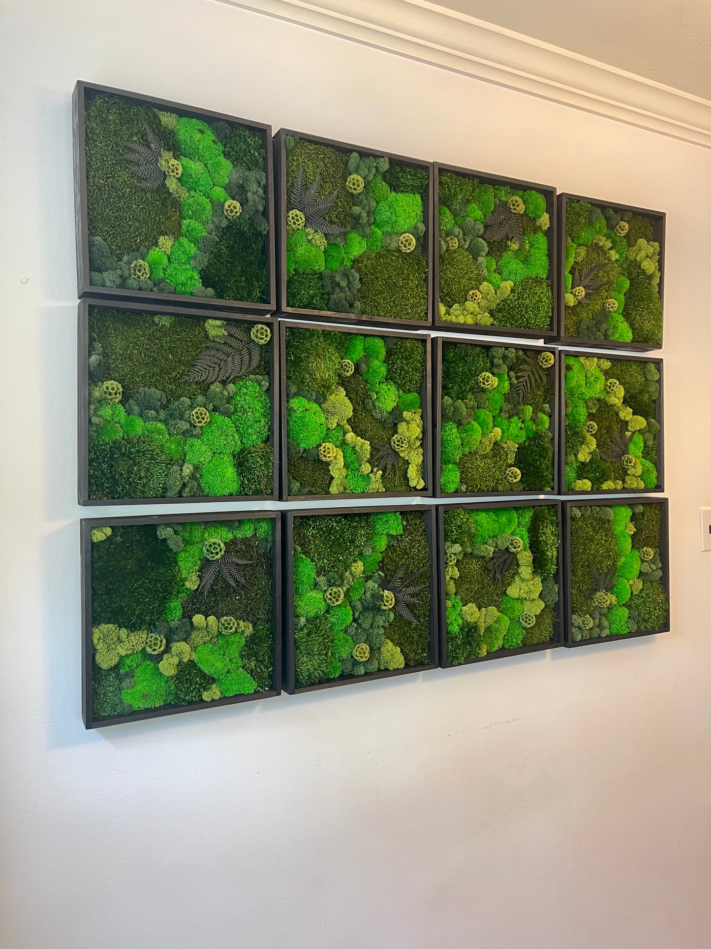 Moss Wall Art - Wood Square Frame - Green Dreams