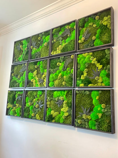 Moss Wall Art - Wood Square Frame - Green Dreams