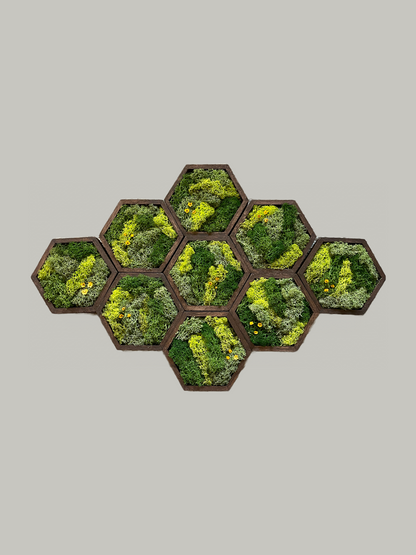 Hexagon Moss Wall Art - 5" by 6" - Green with Yellow Flowers