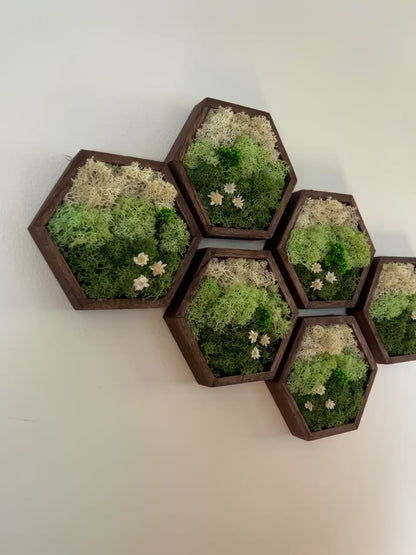 Meadow - Hexagon - Dark Green, Mint & White