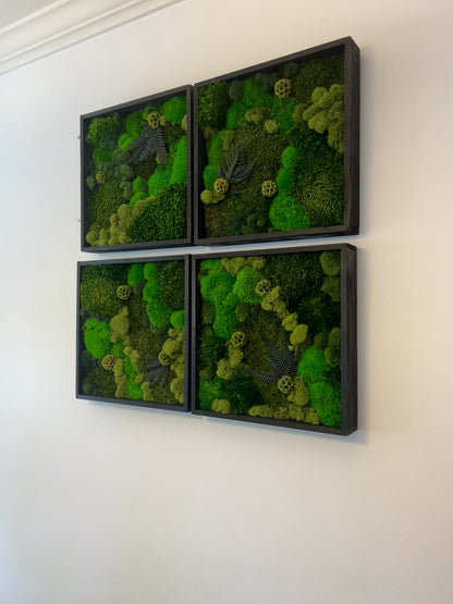 Moss Wall Art - Wood Square Frame - Green Dreams