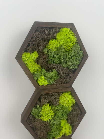 Shades of Green and Brown - Hexagon - Walnut