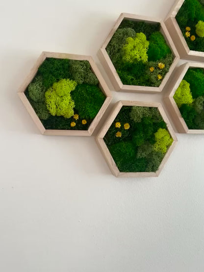 Shades of Green & Yellow Flowers - Hexagon - Reindeer, Pole & Sheet Moss - Maple