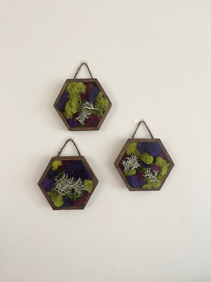 Honeycomb Moss - 5" by 6"  | Wall Art  |  Home  Decor  | Wood Hexagon  | Green and Mixed Colour