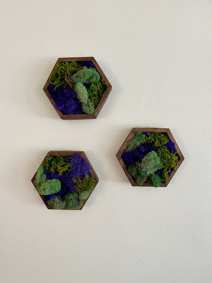 Moss Wall Art  | Honeycomb Moss   |  Home  Decor  | Wood Hexagon  | Green Teal and Purple