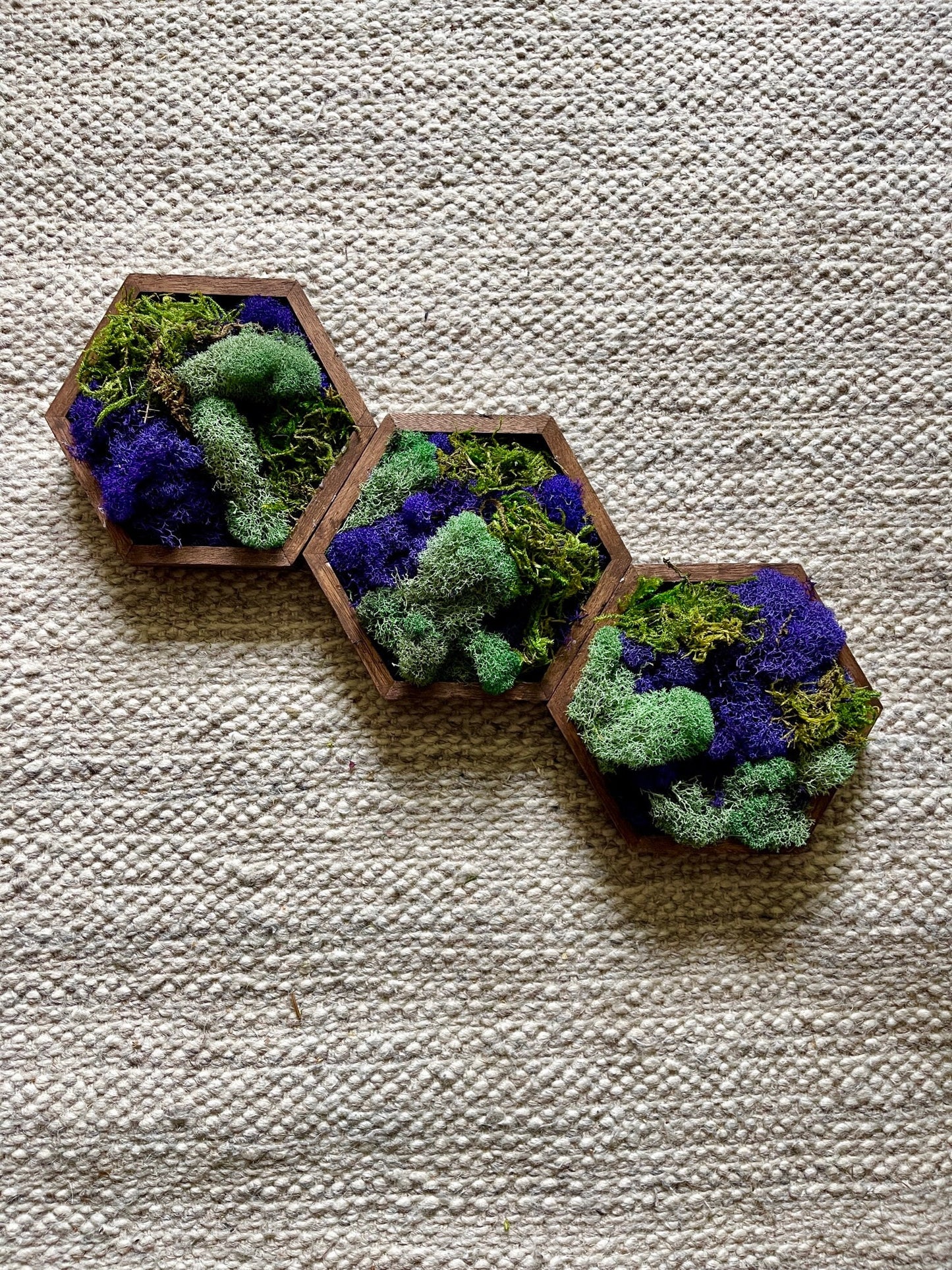 Moss Wall Art  | Honeycomb Moss   |  Home  Decor  | Wood Hexagon  | Green Teal and Purple