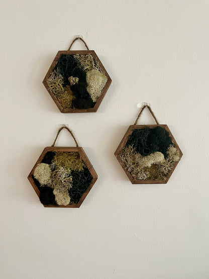 Moss Wall Art  | Honeycomb Moss  |  Home Decor  | Wood Hexagon  | Brown Beige Black Reindeer Moss