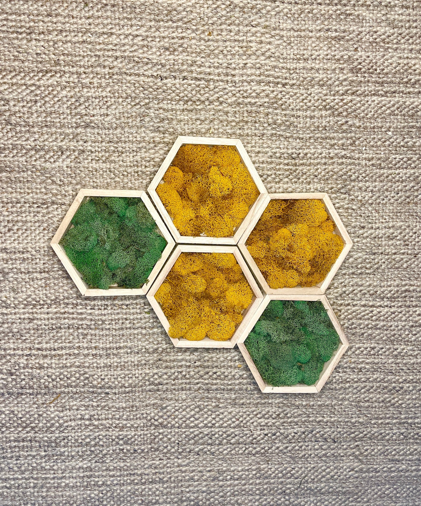 Moss Wall Art | Preserved Moss Wall Decor  | One to Set of Twelve | Honeycomb Set | Colours Displayed in Pictures