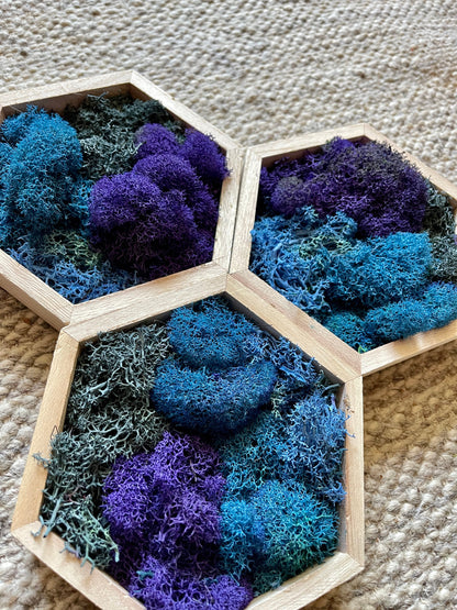 Moss Wall Art  | Honeycomb Moss   |  Home  Decor  | Wood Hexagon  | Blue and Purple