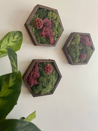 Moss Wall Art | Honeycomb Moss Decor | Single to Set of Twelve | Wood Hexagon | Green/Pink Reindeer Moss | Yellow, Red Or Fuchsia Scabiosa