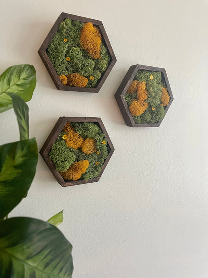 Moss Wall Art  | Honeycomb Preserved Moss Art  | Home Decor  | Wood Hexagon | Green and Mustard - Preserved Flowers