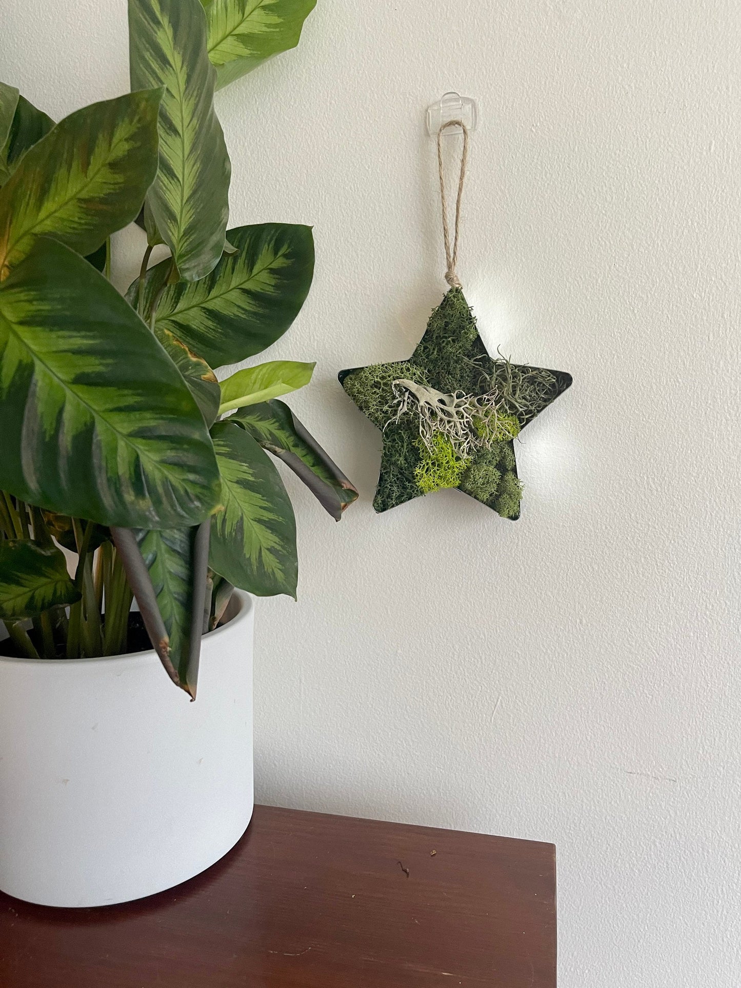 Star Moss  | Wall Art  |  Home  Decor  | Metal Star  | Green