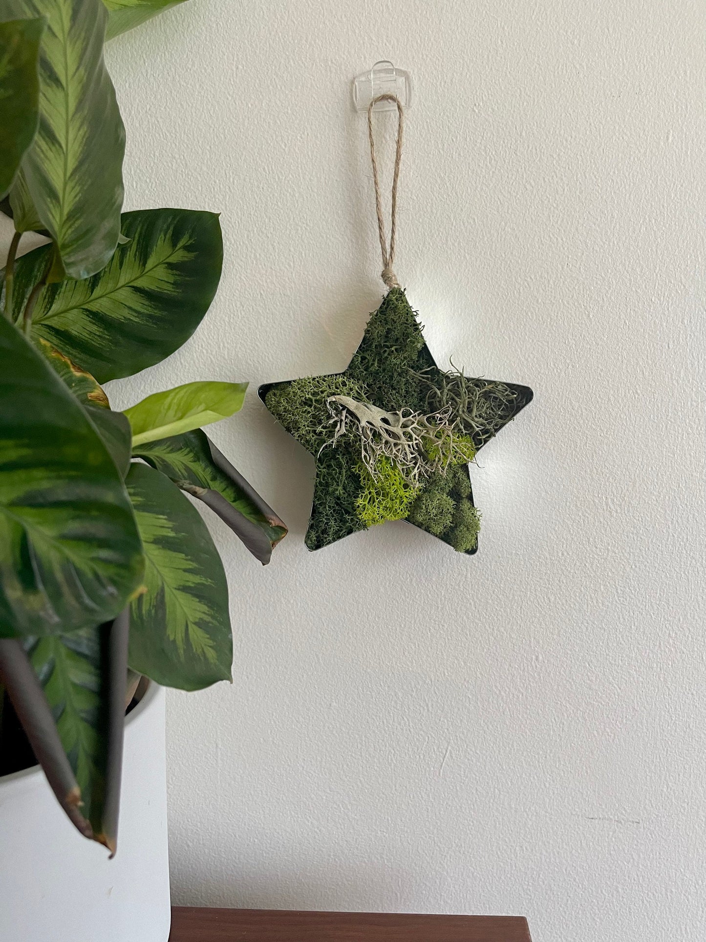 Star Moss  | Wall Art  |  Home  Decor  | Metal Star  | Green