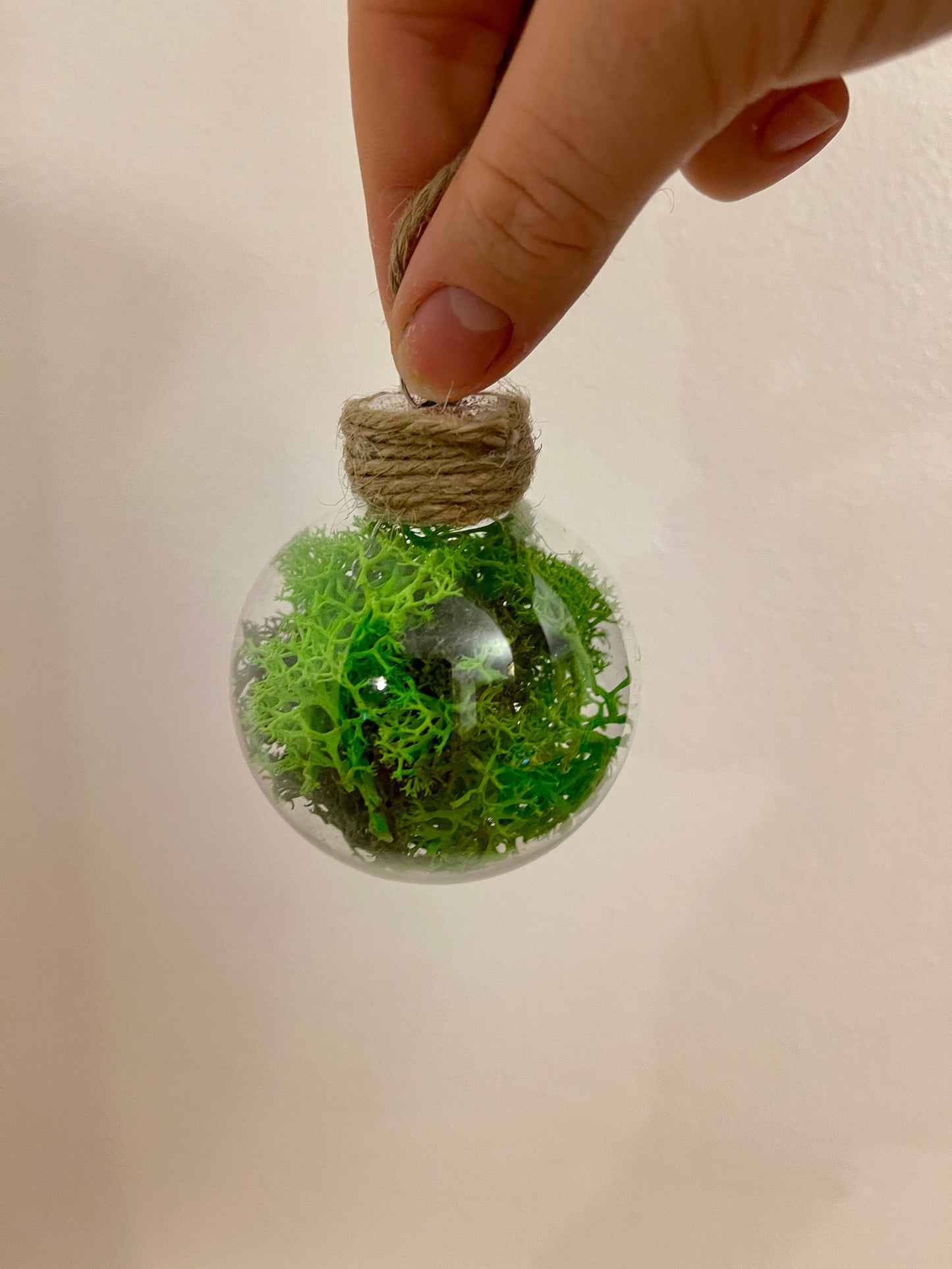 Moss Twine Ornaments |  Moss Wall Art | Preserved Reindeer Moss | Green Moss Terrarium