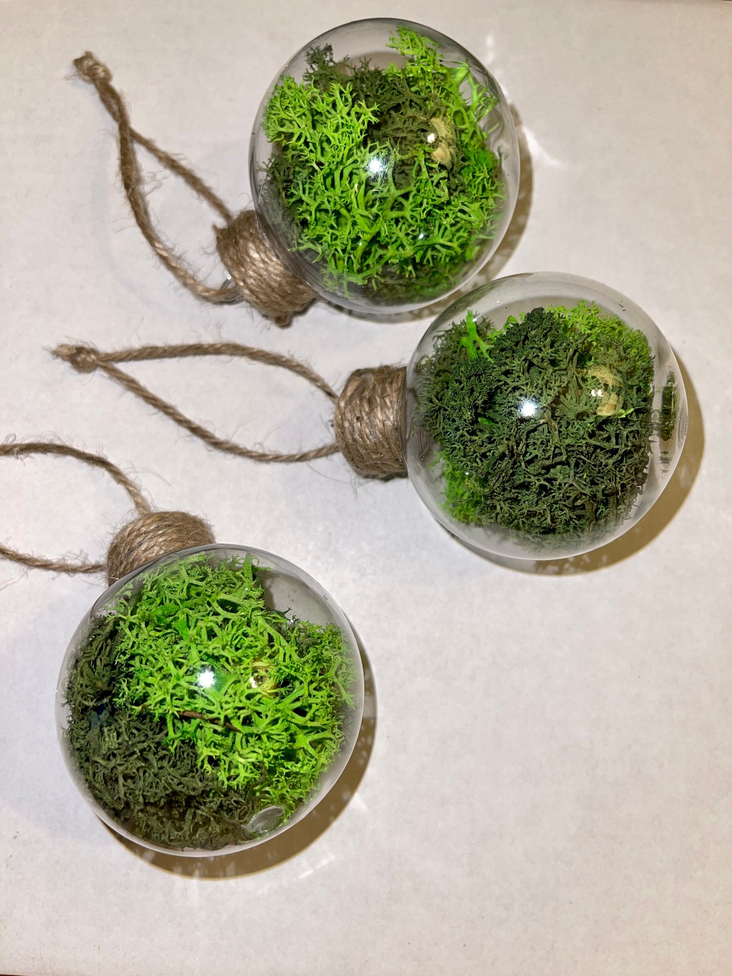 Moss Twine Ornaments |  Moss Wall Art | Preserved Reindeer Moss | Green Moss Terrarium