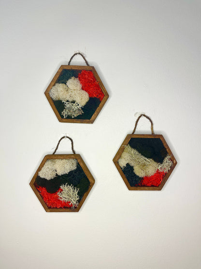 Moss Wall Art  | Honeycomb Moss  |  Home  Decor  | Wood Hexagon  | Black Red and White