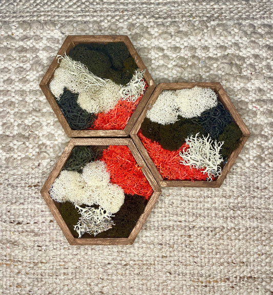 Moss Wall Art  | Honeycomb Moss  |  Home  Decor  | Wood Hexagon  | Black Red and White