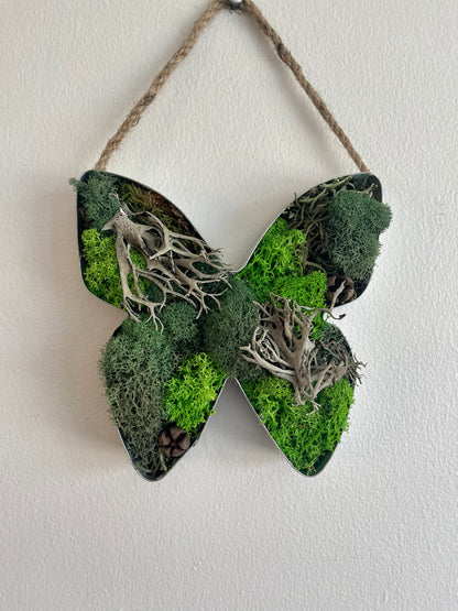 Butterfly Moss  | Preserved Moss Wall Art  |  Home Decor  | Metal Butterfly  | Green and Beige Reindeer Moss