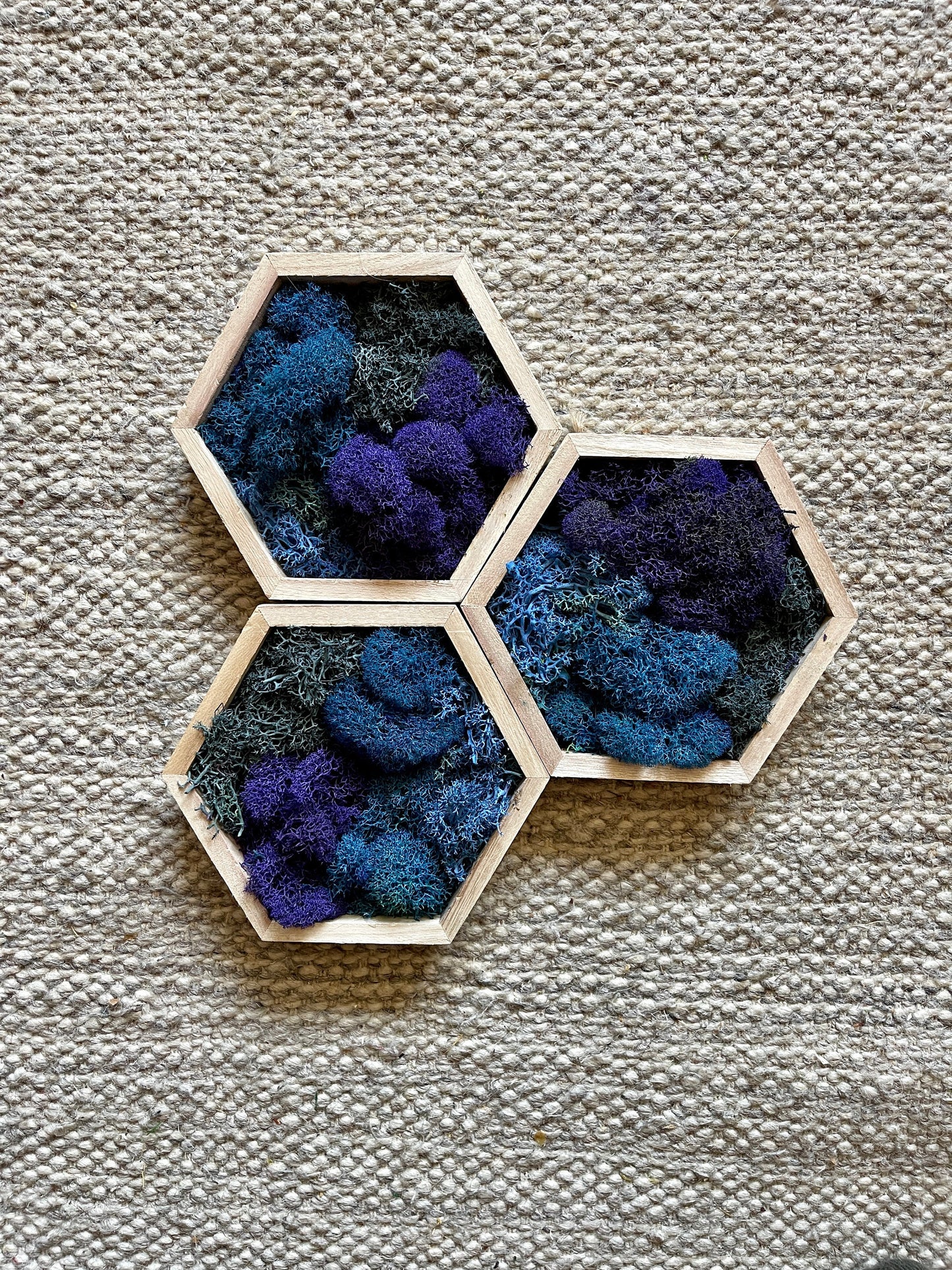 Moss Wall Art  | Honeycomb Moss   |  Home  Decor  | Wood Hexagon  | Blue and Purple